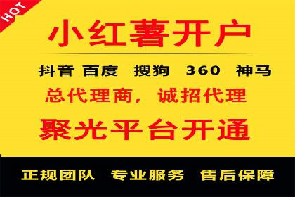 案例对比：SEO与SEM优化效果深度分析